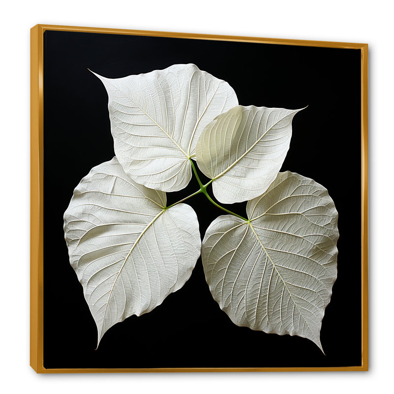 Impression sur toile noir et blanc sur verre I, H 24 po x l 24 po x P 1 po, Cadre flottant doré