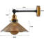 Advithi Glass Armed Sconce