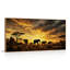 Tableau encadré « Coucher de soleil sur un éléphant » (1 pièce), 147 x 71 cm-1806363569