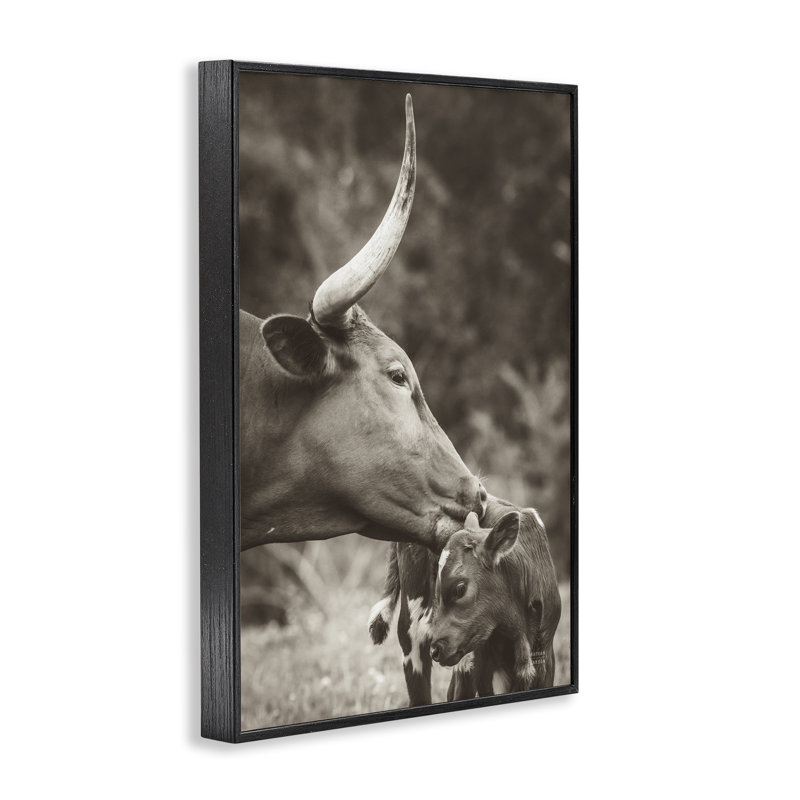  «Longhorn Kissing Baby Giclee Art» par Nathan Larson, H 18 po x l 12 po, Giclée encadrée noir minuit