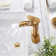 Single Hole Bathroom Faucet with Drain Assembly