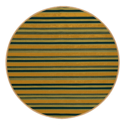 Machine Washable Horizontal Stripes Brown Area Rug