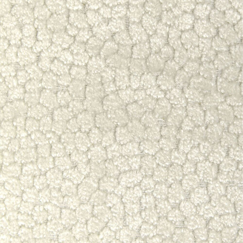 Kravet Design - 37064-1, Ivory