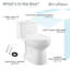 Toilette allongée une pièce à double chasse 1,1 / 1,6 gallons Avallon
