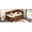 Lit de jour avec tiroirs et tablettes, gris-307784736-307784742