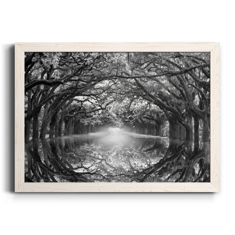 " Oak Alley Reflection ", White Framed Canvas, 20" H x 24" W x 1" D