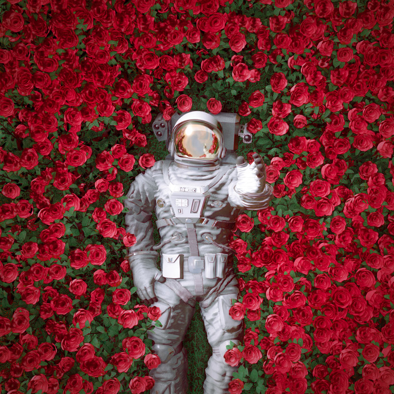 «Red Rose Spaceman», impression sur toile tendue, H 30 po x l 30 po