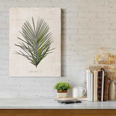 Palm Botanical I - Impression sur toile tendue