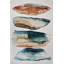Tili Sea Area Rug-1469195381