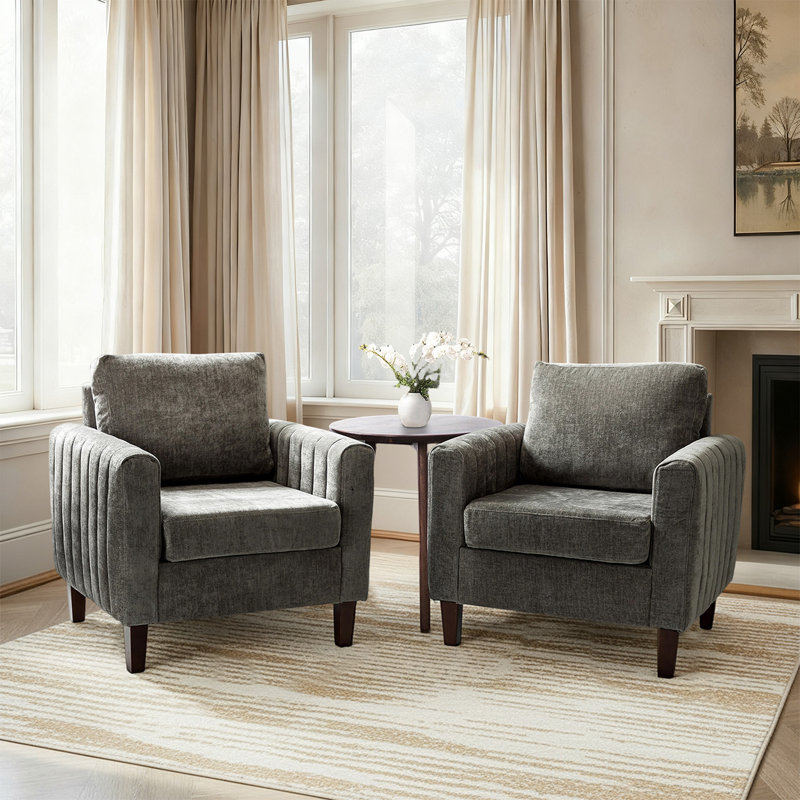 Ensemble de 2 fauteuils club Cephisus, Gris