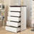 5-Drawer Accent Storage Chest