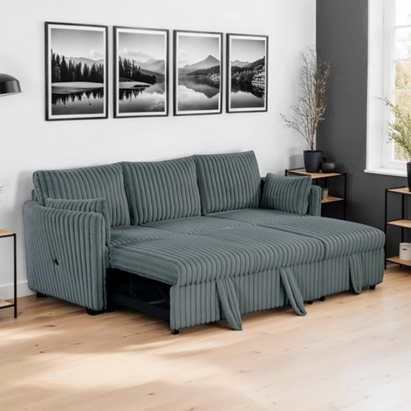 Sofa With Pull-out Sleeper, Dark Gray