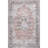 Paulina SpinClean Machine Washable Traditional Floral Medallion Area Rug-726235235
