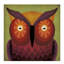 « hibou wow ii », art sur toile-31880331