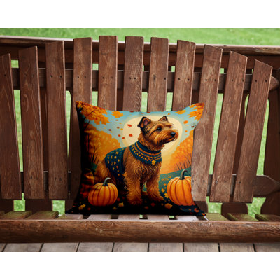 Other/No Pattern Outdoor Throw Pillow