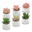 6 plantes succulentes artificielles vertes et roses