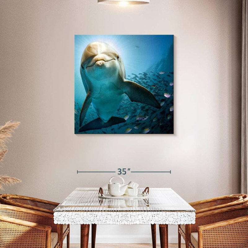 Brampt Curious Dolphin, 36" H x 36" W