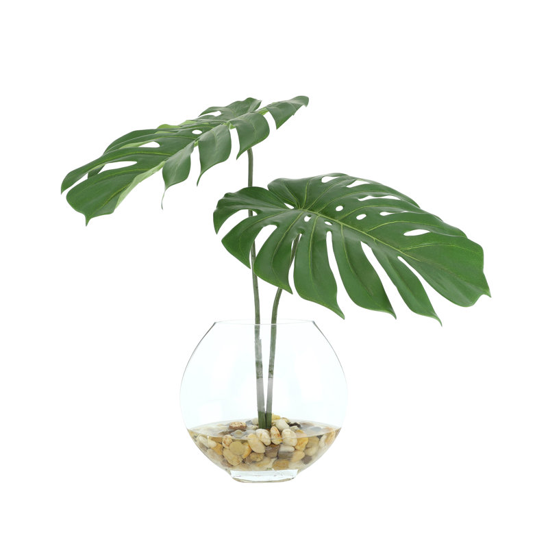 Split Philodendron Leaves In Glass Vase