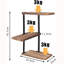 Radegund 3 Piece Solid Wood Floating Shelf