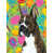 Boxer (Brown and white)