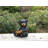 BEAR CUB HOLDING SUNFLOWER