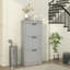 15 Pair Shoe Storage Cabinet-185930614