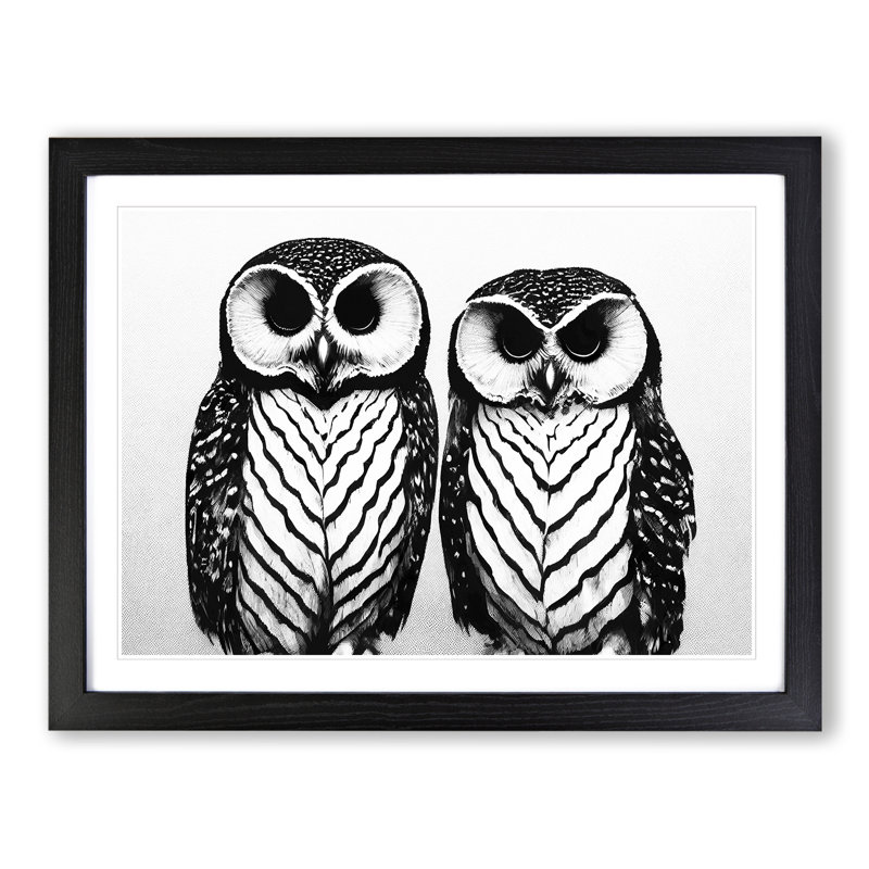Monochrome Owls Vol.3 - Framed Print, Black Framed, 46cm H x 64cm W x 2cm D