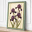 Purple Irises Study Botanical - Wrapped Canvas-2100022568-2100022577
