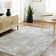 Avia Abstract Indoor Rug