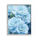 Bd-212_FG \"détaillée Blue Succulents Cadre photo unique\" par RB sur toile