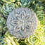 Windsor Decorative Box-43665765