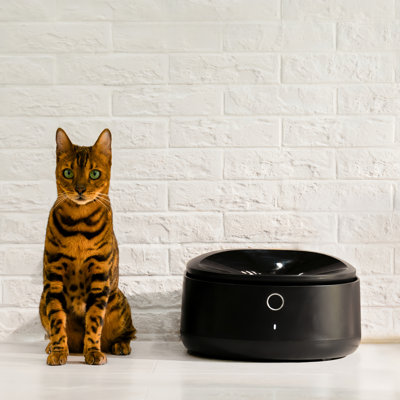 Polar Auto Wet Food Feeder with Smart Phone Control Black