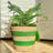 3 Piece Green Striped Wicker Tassel Baskets