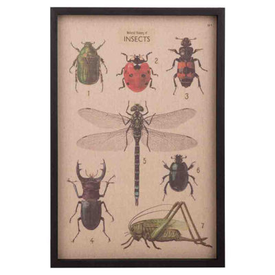 Single Picture Frame Print