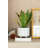 Martha Handmade Ceramic Pot Planter-1312117863