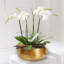 Bol décoratif en acier inoxydable 1 pièce Kenmare