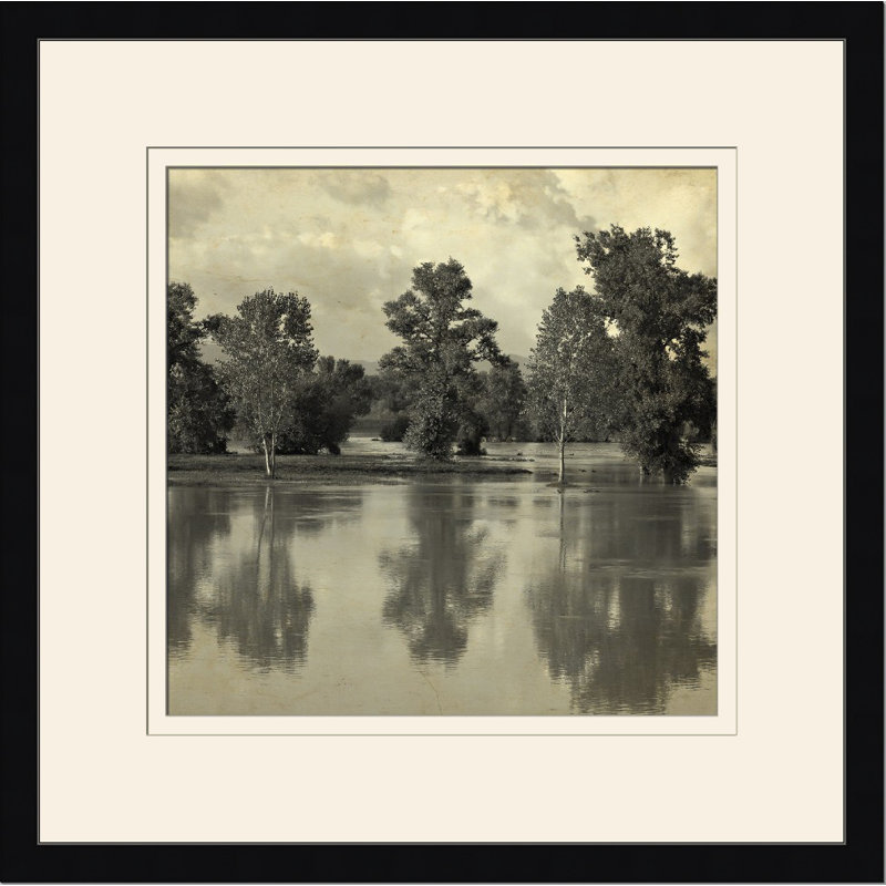 Pond Reflections II Print