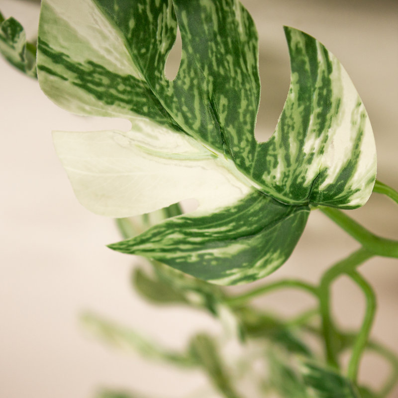 190cm Faux Variegated Monstera Garland Pack