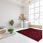 Tapis unique en laine noué à la main 5 pi 1 po x 6 pi 6 po nouvel âge Ajten