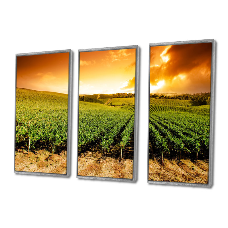«Sunset Vineyard Panorama», photographie sur toile flottante 3 pièces, H 28 po x l 36 po, Argent argent
