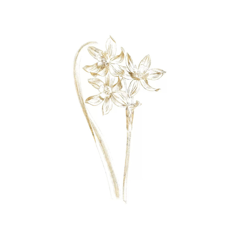 Gilded Botanical IV by Wild Apple Portfolio - Wrapped Canvas Painting, 20.32 cm H x 30.48 cm W
