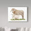 « life on the farm animal element ii », art sur toile-31882956