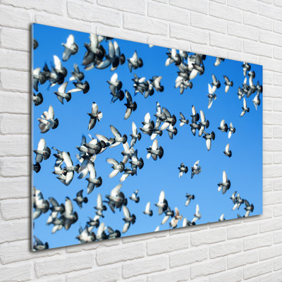 A Flock Of Pigeons - No Frame Print on Glass