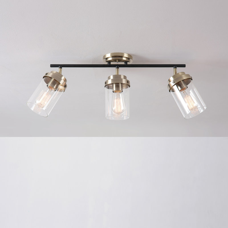 Adelaide Matte Black and Antique Brass 3-Light Track Kit with Clear Glass