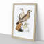 Two Eagles by John Edward Gray - Framed Print-55614701-55614702