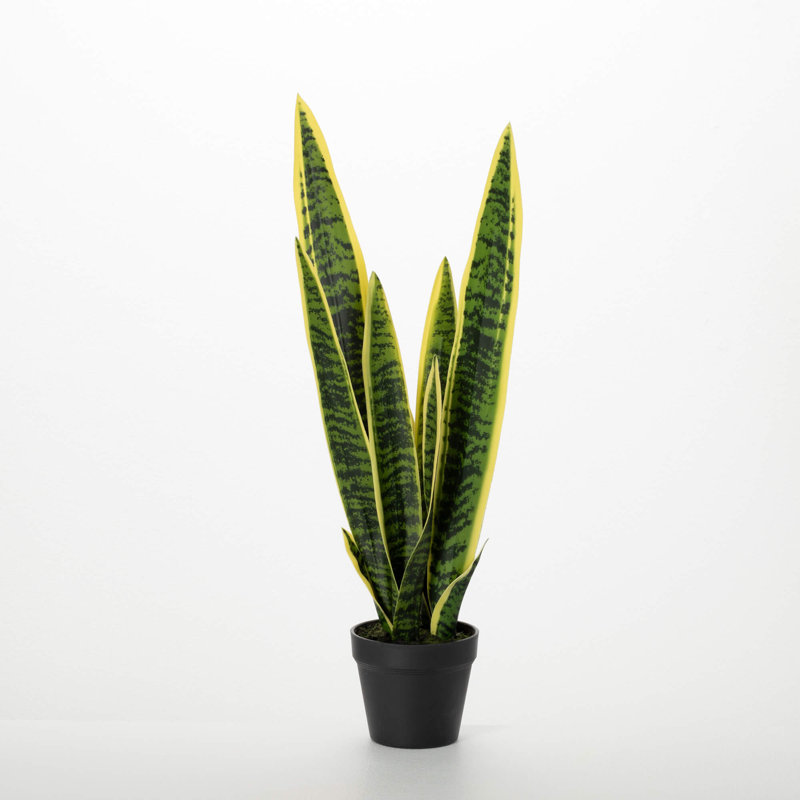 Plante artificielle Sansevieria en pot 2 pi 22 po; vert