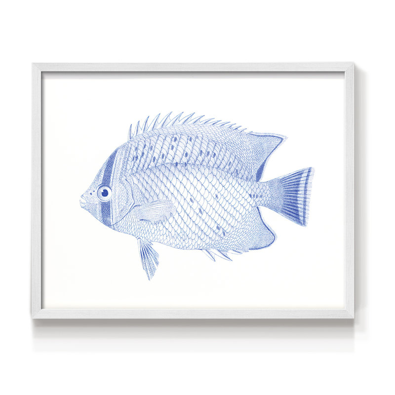 Poisson tropical bleu et blanc III - reproduction encadrée, H 8 po x l 10 po, Blanc