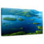 Vue aérienne d'Alvord Lake George-108155699