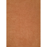 Leopardess Burnt Orange Hand-Tufted Responsible Wool Rug