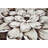 Burbach Floral Indoor Rug-1264704860